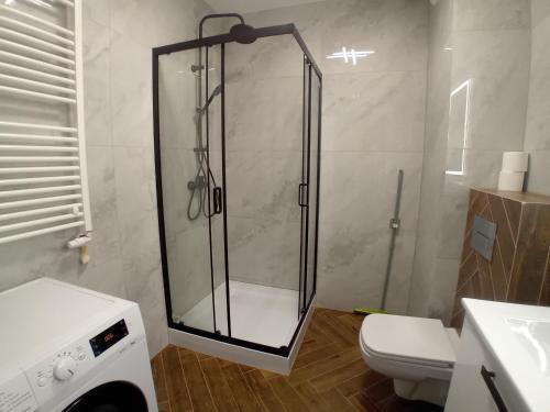 a bathroom with a glass shower with a toilet at Apartament Na Wzgórzach in Rymanów