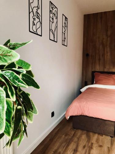 sypialnia z łóżkiem i rośliną w obiekcie Green Stone Apartment III w Bydgoszczy