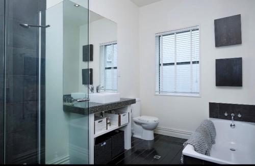 uma casa de banho com um WC, um lavatório e um chuveiro em Bond Street Apartment Luxury 3 Bedroom em Dunedin
