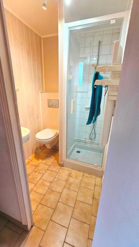 une salle de bain avec une douche en verre et des toilettes dans l'établissement Gîte l'étang des Soays, étang de pêche privé, à Saint-Émiland