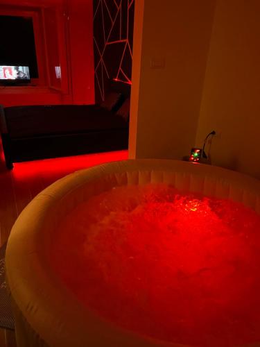 a bowl filled with red dye in a room at LUXSPAKR in Kranj