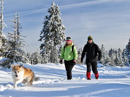 a man and a woman walking in the snow with a dog at Hotel San Giacomo Spa&Gourmet in Brentonico
