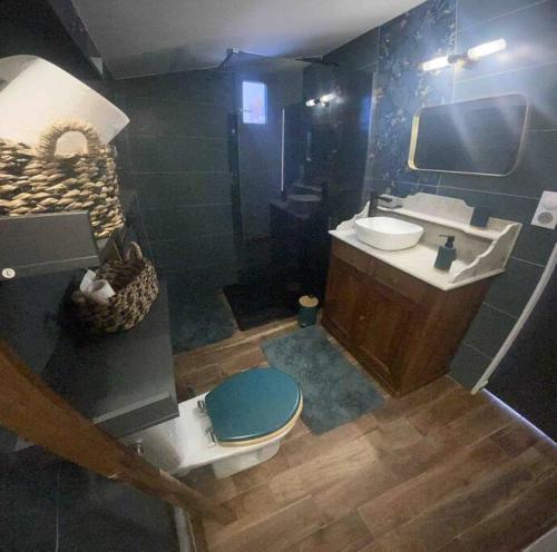 a bathroom with a toilet and a sink at Studio Nîmes in Nîmes