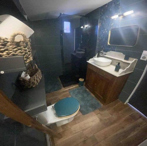 een badkamer met toilet en wastafel bij Studio Nîmes in Nîmes