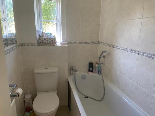 a bathroom with a toilet and a bath tub at Princes Risborough, Buckinghamshire, comfortable double room, quiet and central location in Buckinghamshire