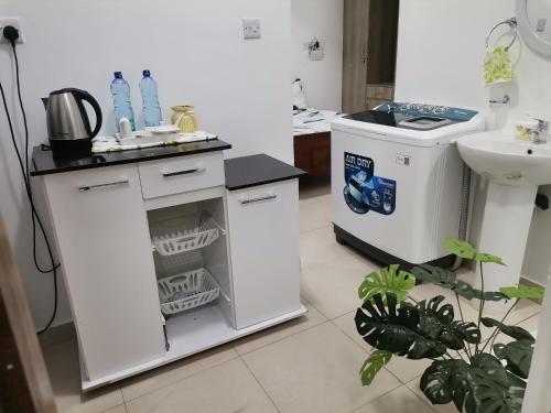 a bathroom with a sink and a washing machine at Millan Homes in Mombasa