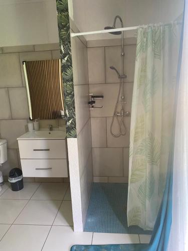 een badkamer met een douche en een douchegordijn bij Le Domaine de l'Étang in Saint-André