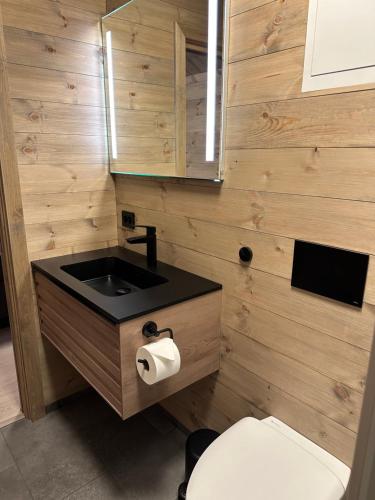 La salle de bains est pourvue d'un lavabo et de toilettes. dans l'établissement Holiday cottage with sauna close to Kjerag, à Tjørhom