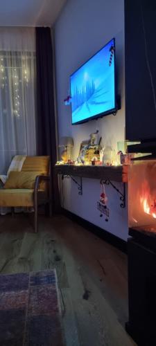 TV a/nebo společenská místnost v ubytování Winter Park Residence Bjelasnica