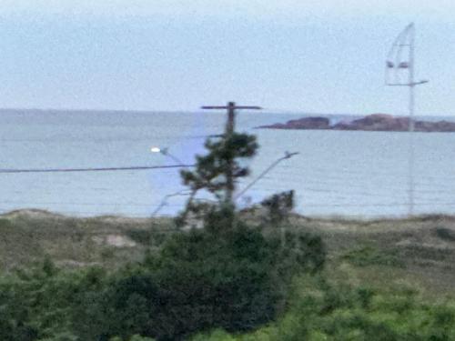 a tree in front of a body of water at Residencial Wrubleski SC in Pinheira