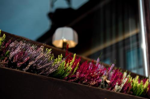 a row of purple flowers next to a building at Hotel zum See, Titisee in Titisee-Neustadt