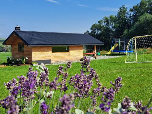 a field of purple flowers in front of a house at U Chowańców in Bańska Niżna