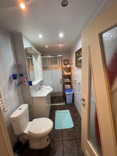 a small bathroom with a toilet and a sink at Apartament spațios în Timișoara in Timişoara