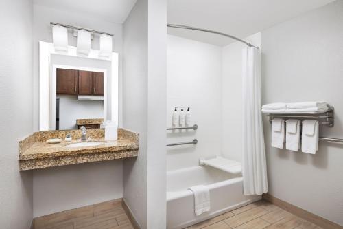 a bathroom with a sink and a mirror at TownePlace Suites by Marriott Roswell in Roswell