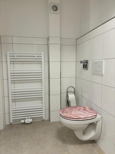 a bathroom with a toilet with a pink cover at Ferienwohnung Grimm in Pforzheim