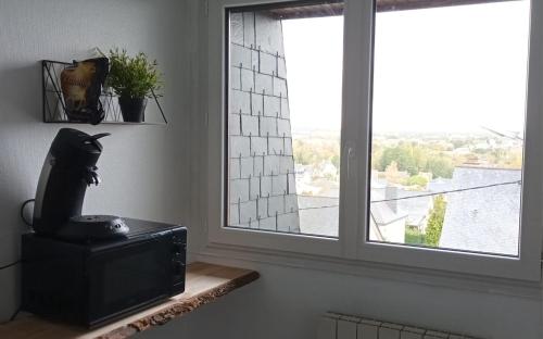 un televisor sentado en una mesa junto a una ventana en Balzac en Montfort-sur-Meu