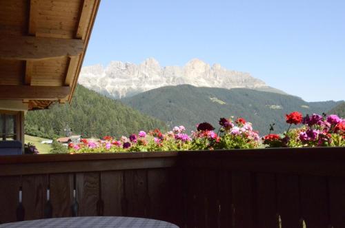a balcony with flowers and mountains in the background at Kellnerhof in Nova Levante