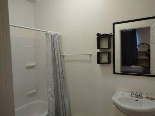 a bathroom with a shower and a sink and a mirror at Jelly Bean 1 in St. John's