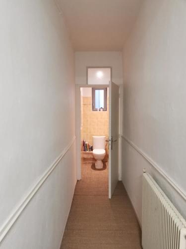 - un couloir avec des toilettes dans la salle de bains dans l'établissement Maison centre ville, à Nérac