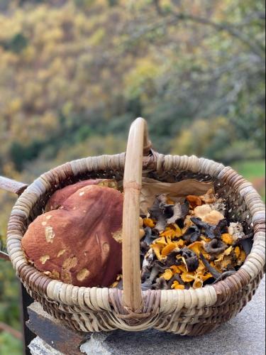 Domaine Le Verdier – Photos 3
