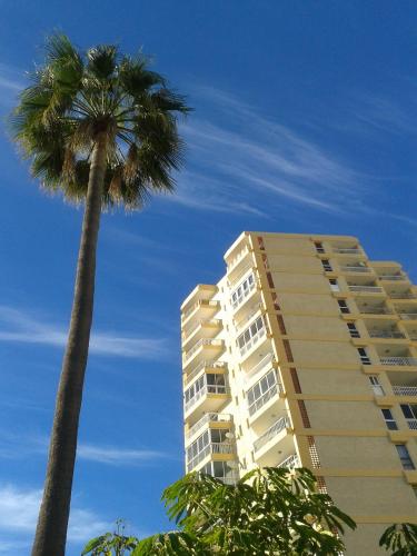 Torres Yomely
