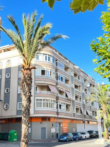 Comfortable Cosy Studio 350 m Playa del Cura, with official touristic license