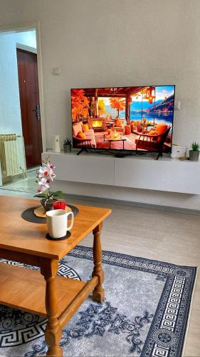 a living room with a large flat screen tv at Stan na dan Hasanovic in Tuzla