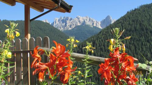 a fence with red flowers and mountains in the background at Kellnerhof in Nova Levante