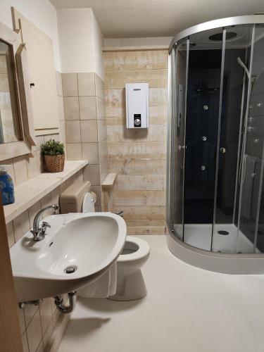 a bathroom with a shower and a sink and a toilet at Der Engel in Winterberg