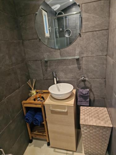 La salle de bains est pourvue d'un lavabo et d'un miroir. dans l'établissement Maisonnette U Santu Ghjuvandria ou A Santa Ghjulia entre mer et Montagne, à Volpajola