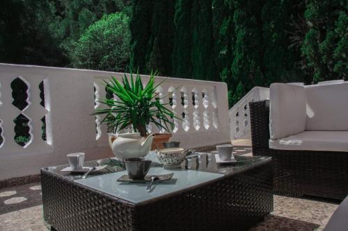 une table avec une plante en pot sur une terrasse dans l'établissement Apartamento Milka Gandia Marchuquera, à Gandía