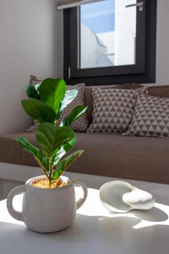 a plant in a pot sitting on a table at Juliano luxury apartments, port of Naxos in Naxos Chora