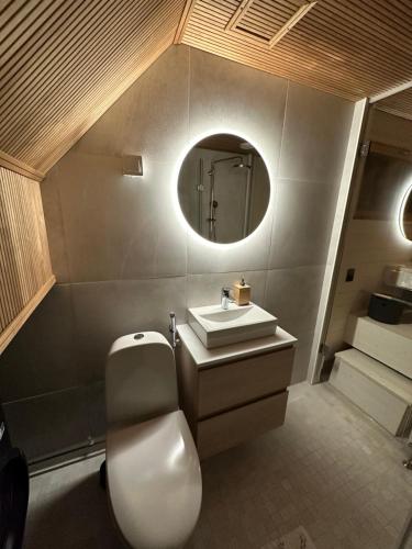 a bathroom with a toilet and a sink and a mirror at Levi Aurora Sky in Levi