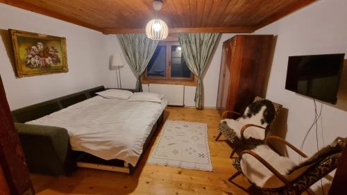 ein Schlafzimmer mit einem Bett, 2 Stühlen und einem TV in der Unterkunft Pensiunea Mirela in Breaza