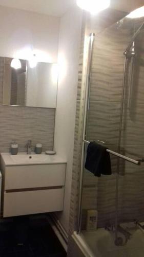 une salle de bain avec une douche, un lavabo et un miroir dans l'établissement T2 perros guirec Plage de trestraou label 2*, à Perros-Guirec