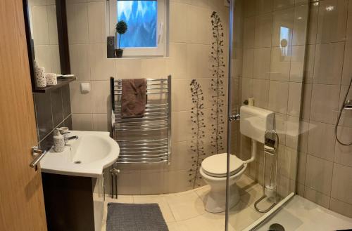 een badkamer met een douche, een toilet en een wastafel bij POČITNIŠKA HIŠA SONČNI VRH in Spodnji Ivanjci