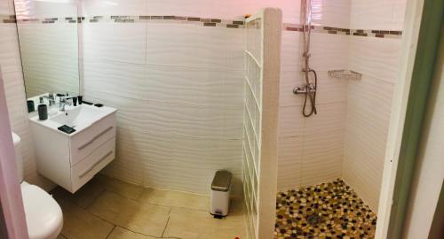 a bathroom with a shower with a toilet and a sink at Studio Colibri Baie-Mahault in Baie-Mahault
