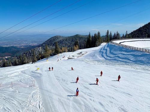 a group of people skiing down a snow covered slope at Hotel Piatra Mare in Poiana Brasov