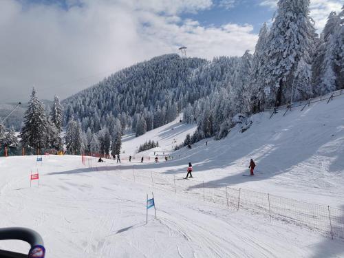 a group of people skiing down a snow covered slope at Hotel Piatra Mare in Poiana Brasov