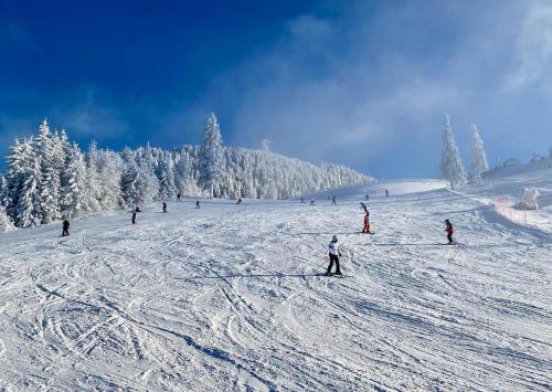 a group of people skiing down a snow covered slope at Hotel Piatra Mare in Poiana Brasov