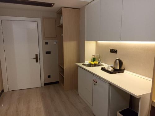 uma cozinha com um lavatório e uma bancada em Doğan Palace Hotel em Istambul