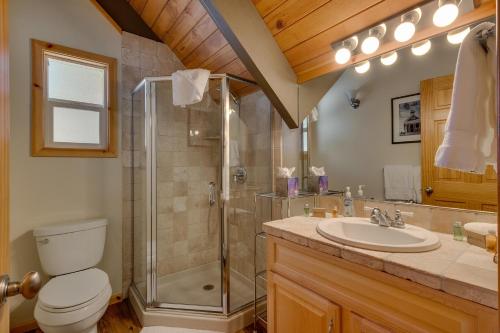 a bathroom with a shower and a toilet and a sink at Piney wood - Quiet 2 BR Loft w Private Hot Tub in Carnelian Bay