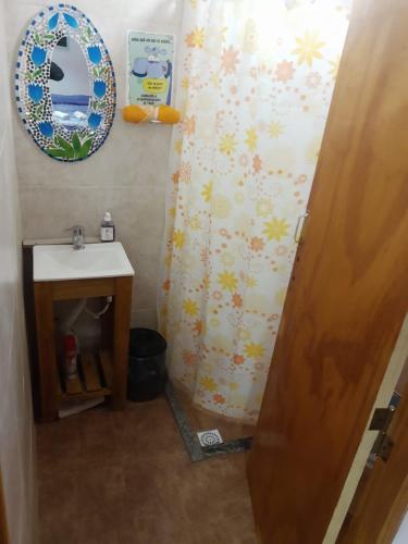 La salle de bains est pourvue d'un rideau de douche et de fleurs. dans l'établissement dormi La familia, à Malargüe