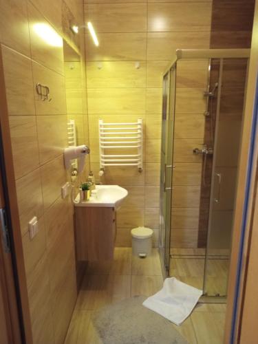 a bathroom with a sink and a shower at Bębenkowie in Białka Tatrzanska