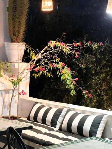 Vrt ispred objekta Riad Elli Marrakech