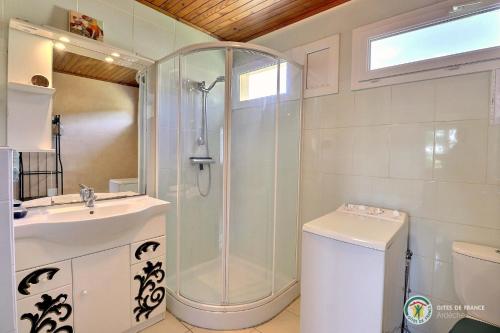 ラマストルにあるGite de la Vialleのバスルーム(シャワー、洗面台、トイレ付)