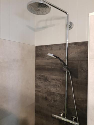 La salle de bains est pourvue d'une douche avec un pommeau de douche. dans l'établissement Joli appartement calme et spacieux, proche Strasbourg, à Duppigheim