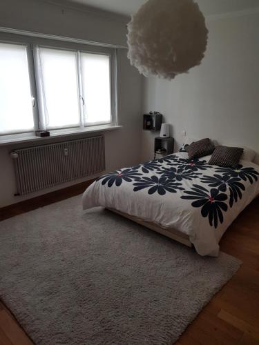 um quarto com uma cama e duas janelas em Joli appartement calme et spacieux, proche Strasbourg em Duppigheim