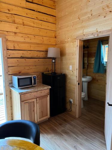 a kitchen with a microwave on a counter in a cabin at Carlo Creek Cabins in McKinley Park