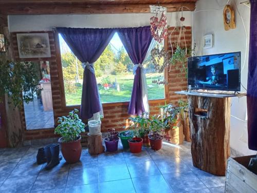 a living room with potted plants in front of a window at Malegus in Epuyén